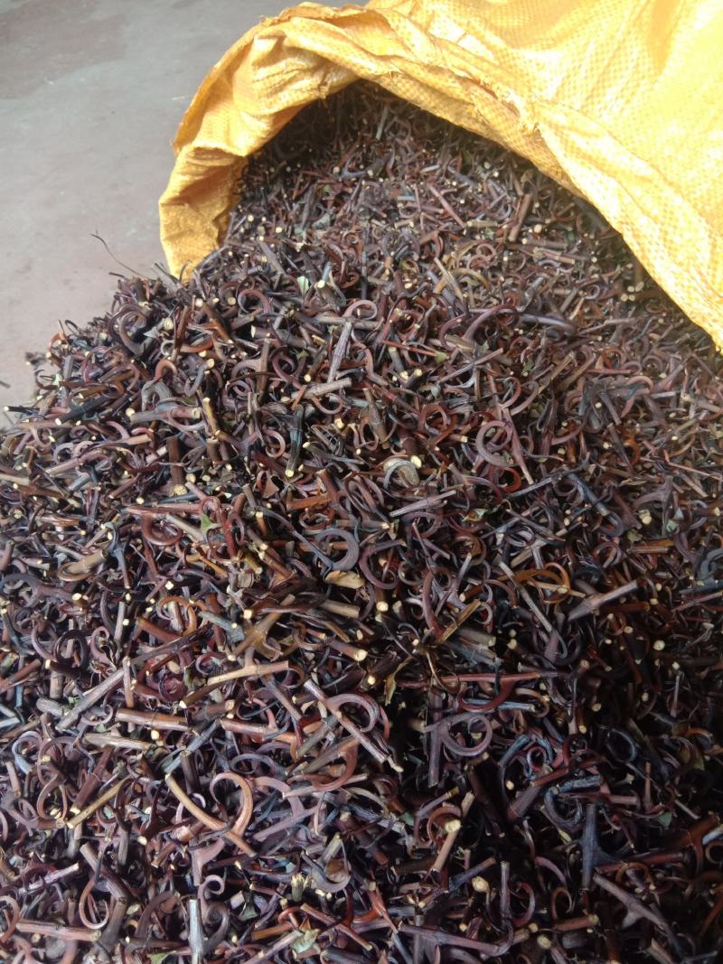 钩藤干货，95钩价格优惠。