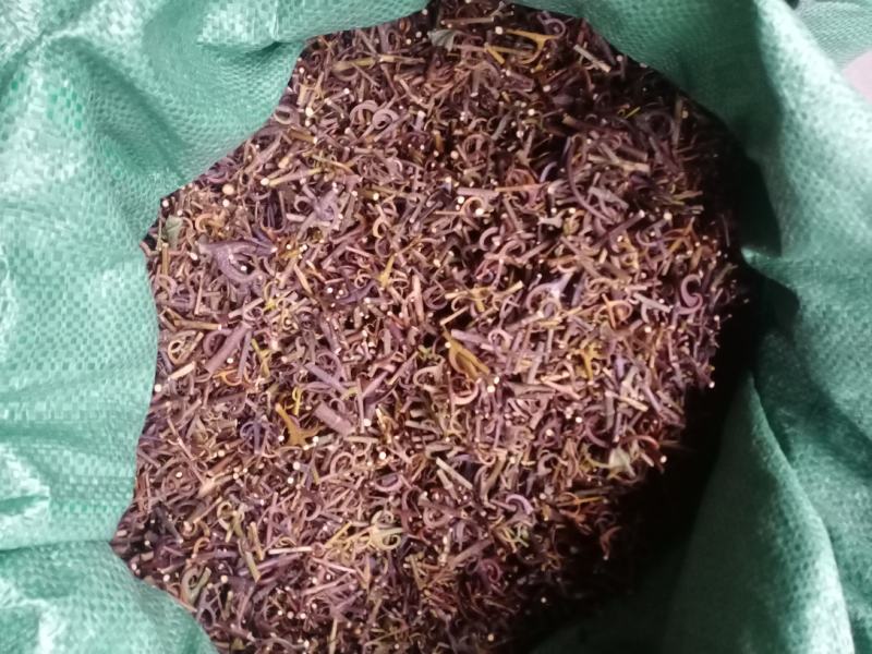 钩藤干货，95钩价格优惠。