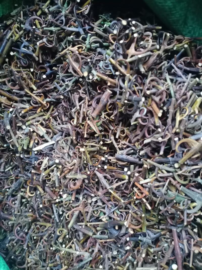钩藤干货，95钩价格优惠。