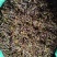钩藤干货，95钩价格优惠。