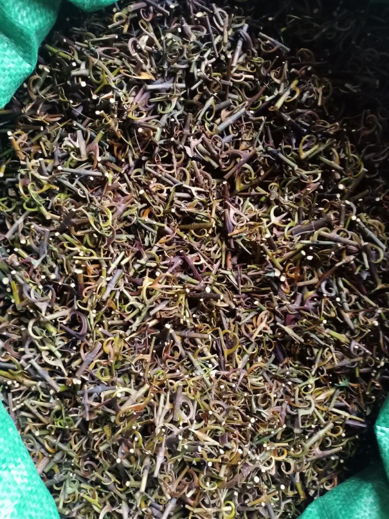 钩藤干货，95钩价格优惠。