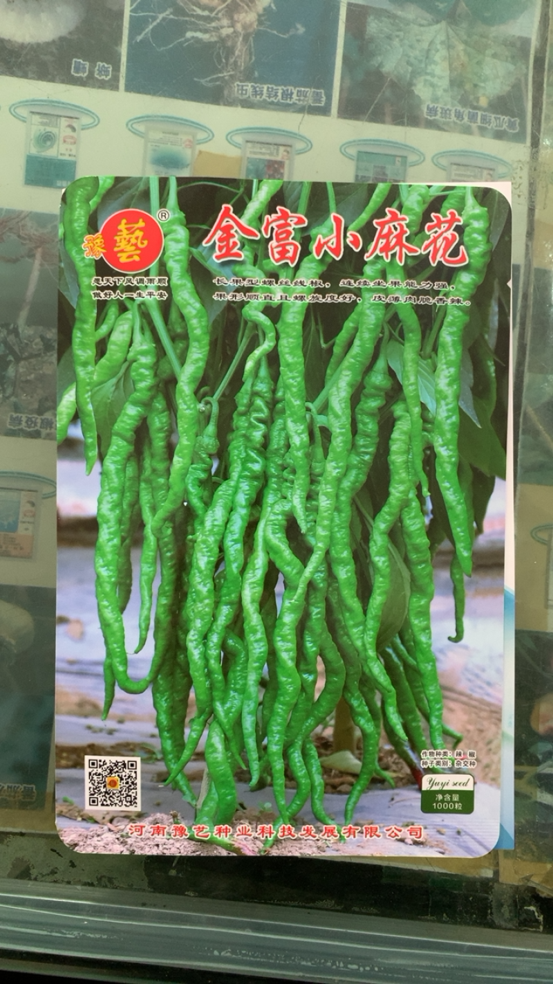 螺丝线椒线螺辣椒种子豫艺种业金富小麻花高辣精品顺直