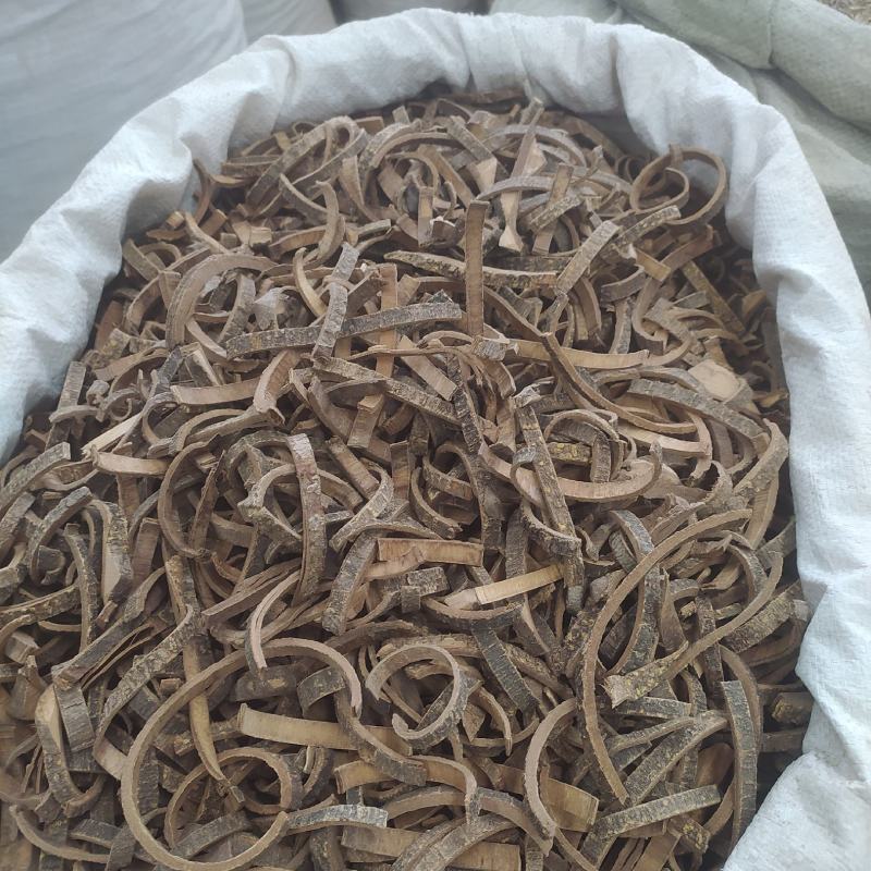 海桐皮别名钉桐皮、鼓桐皮、刺桐皮、刺通
