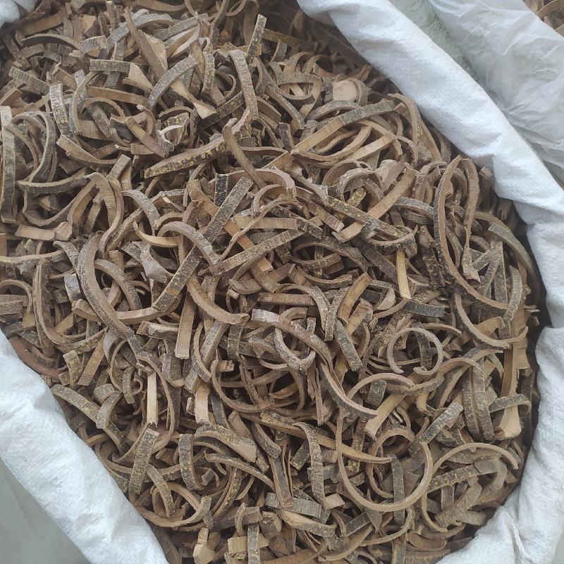 海桐皮别名钉桐皮、鼓桐皮、刺桐皮、刺通