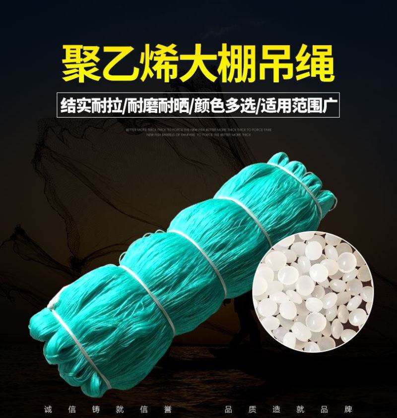 防晒抗老化PE吊秧绳吊蔓绳黄瓜西红柿专用吊绳厂家直销