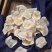 海底椰新货无硫干货不满意可退换货