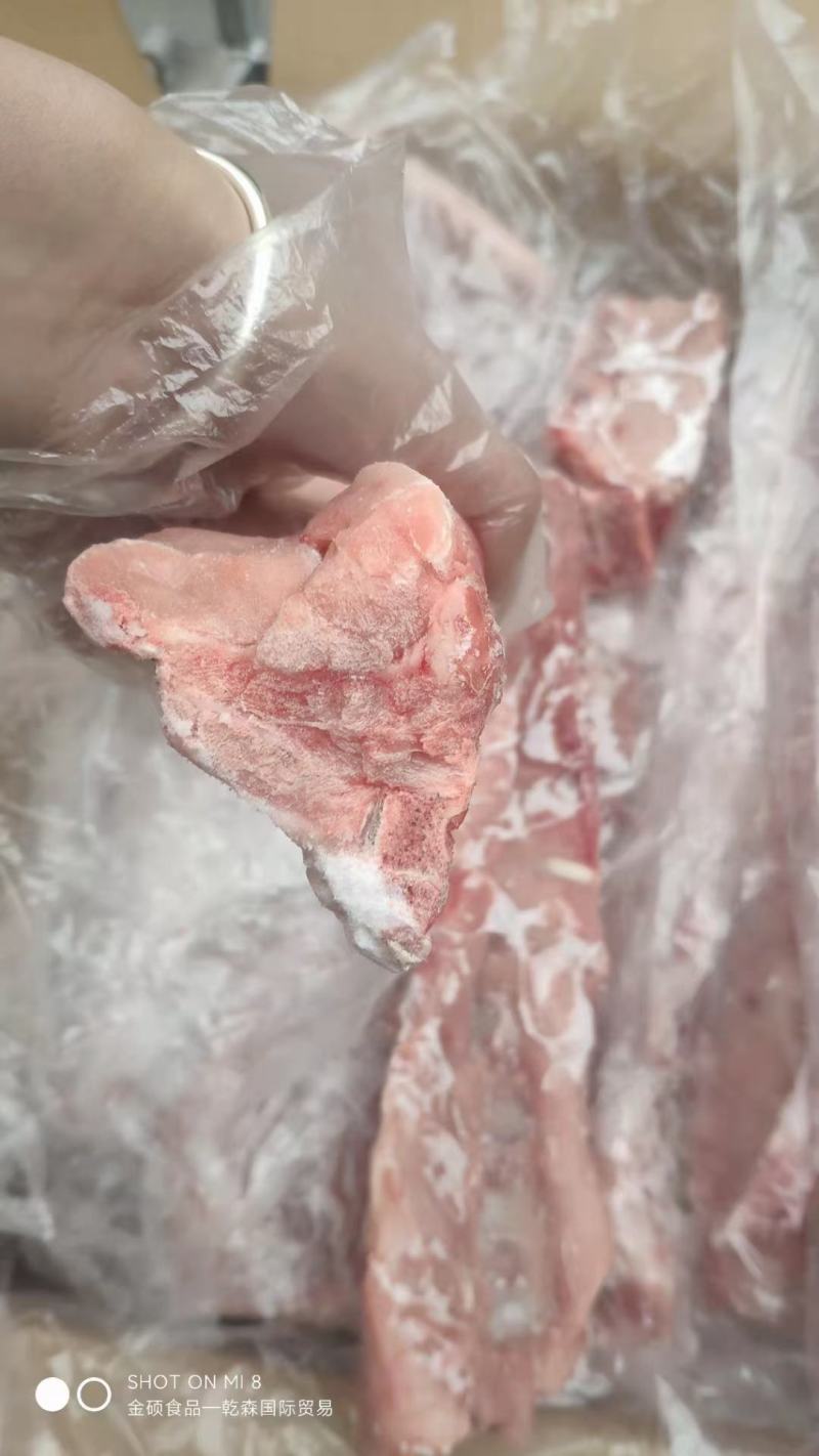 猪骨龙骨