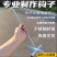 不锈钢一体成型的多用途丁字钩非常不锈钢一体成型的多用途