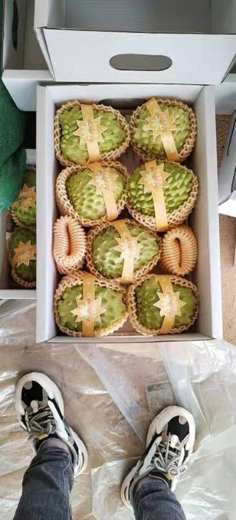 风梨释迦果