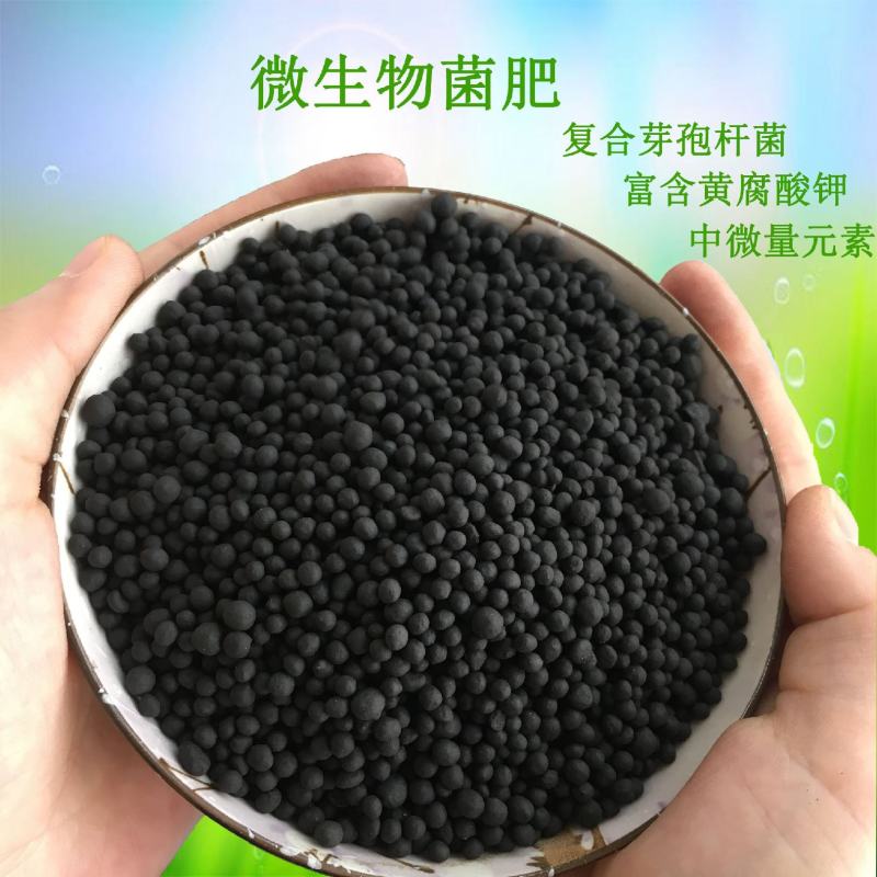 微生物菌肥厂家批发颗粒菌肥粉末菌肥有机肥