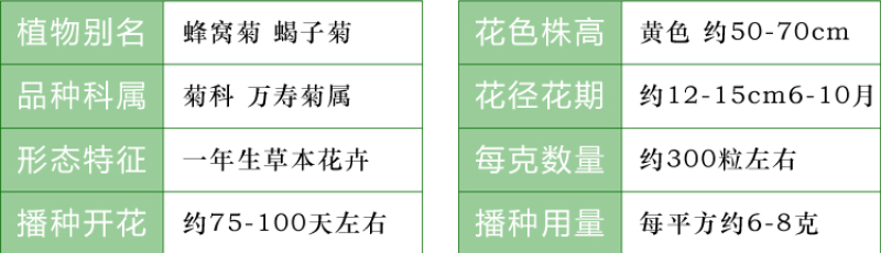 万寿菊种子菊花种子四季易活庭院别墅路边驱蚊盆栽花海