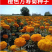万寿菊种子菊花种子四季易活庭院别墅路边驱蚊盆栽花海