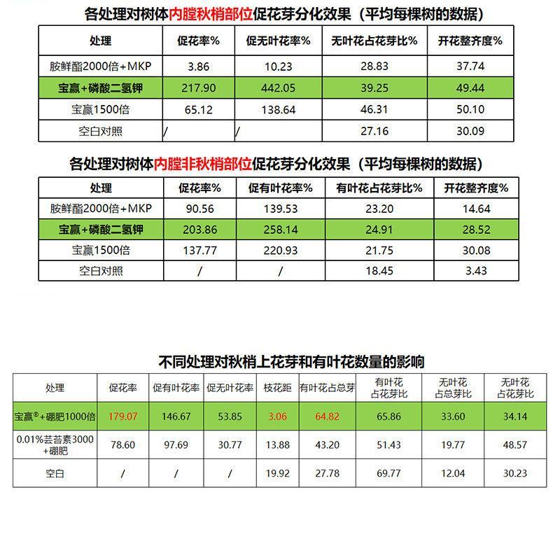 宝赢20%苯肽胺酸授精授粉保花保果实膨大提早成熟增产调节