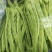精品扁青芸豆鲜扁豆宽芸豆蔬菜产地直发条直20cm以上