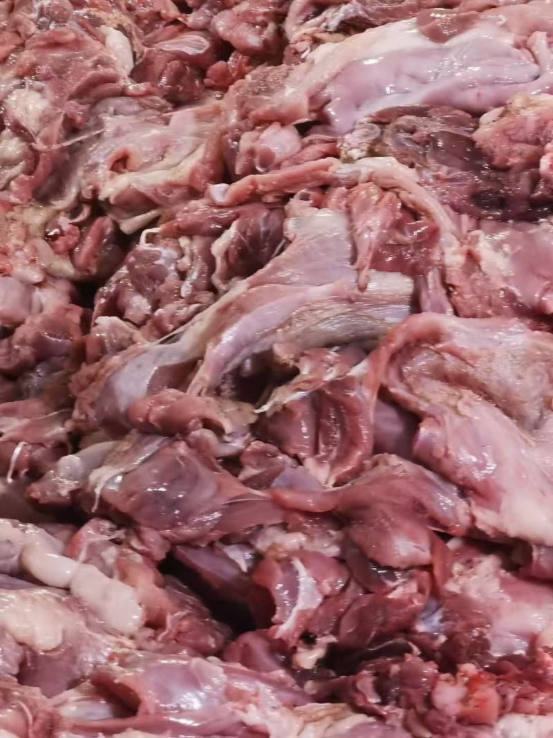 纯干羔羊块肉，价格合适，适合烧烤等各种用途，量大从优