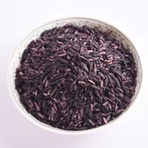 新墨江紫米，粗粮紫米，五谷杂粮，欢迎来点咨询。