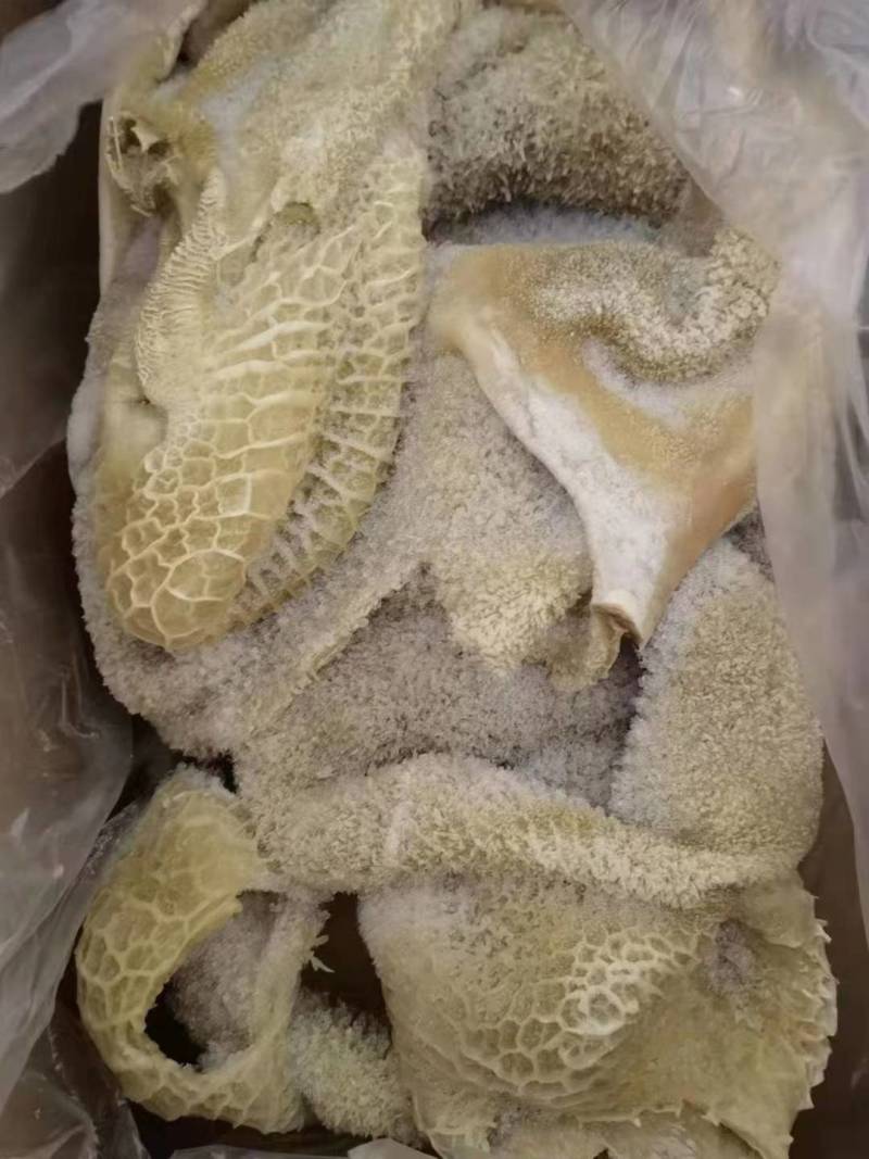 纯干精品牛肚1111一手货源价格合适欢迎来选购