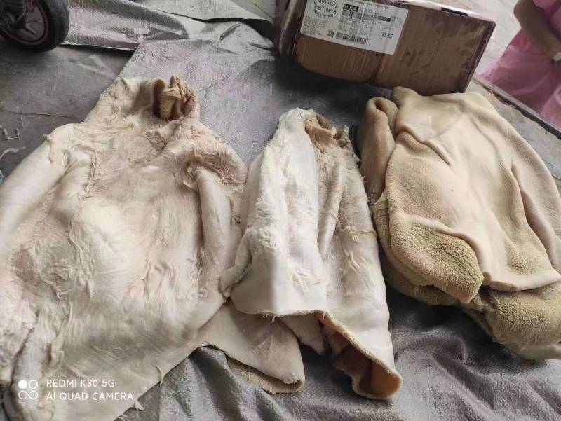 纯干精品牛肚1111一手货源价格合适欢迎来选购