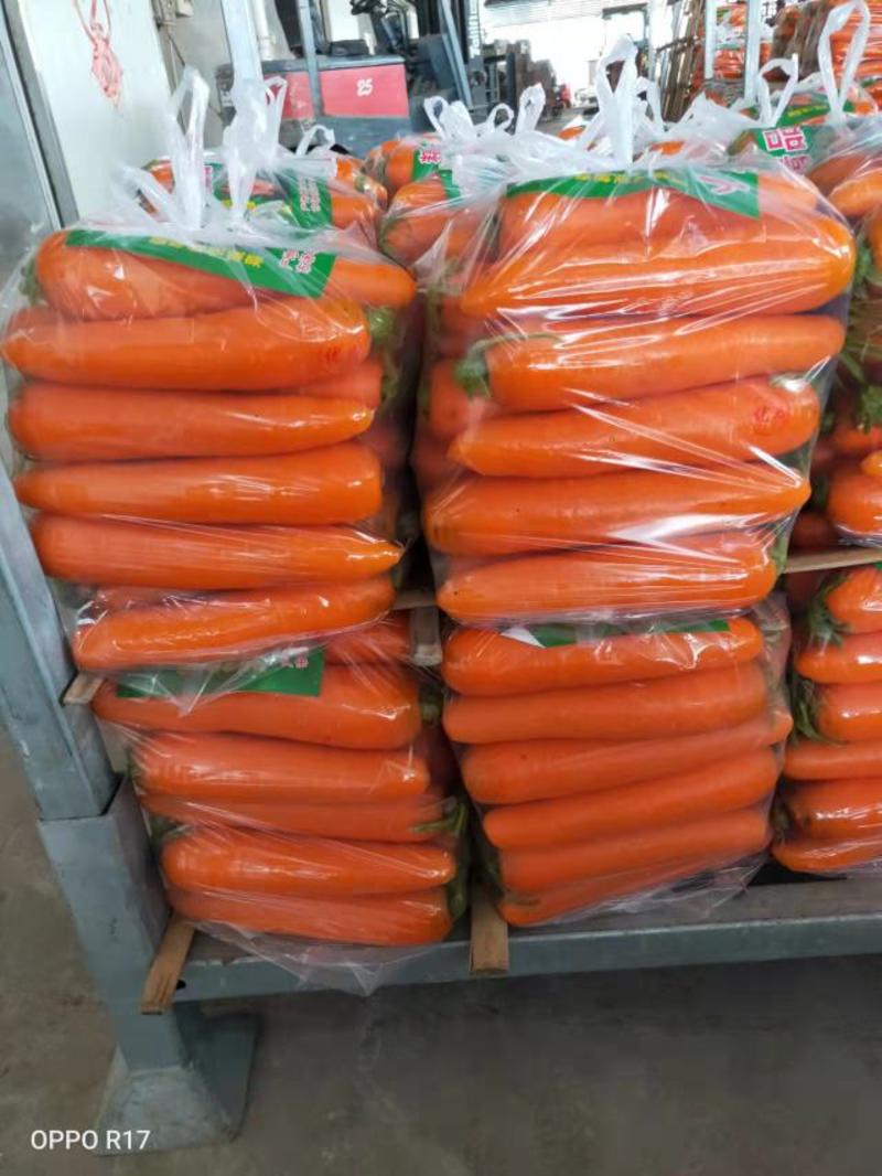 【热卖水洗】胡萝卜福建三红胡萝卜产地直发价格便宜可视频拿货