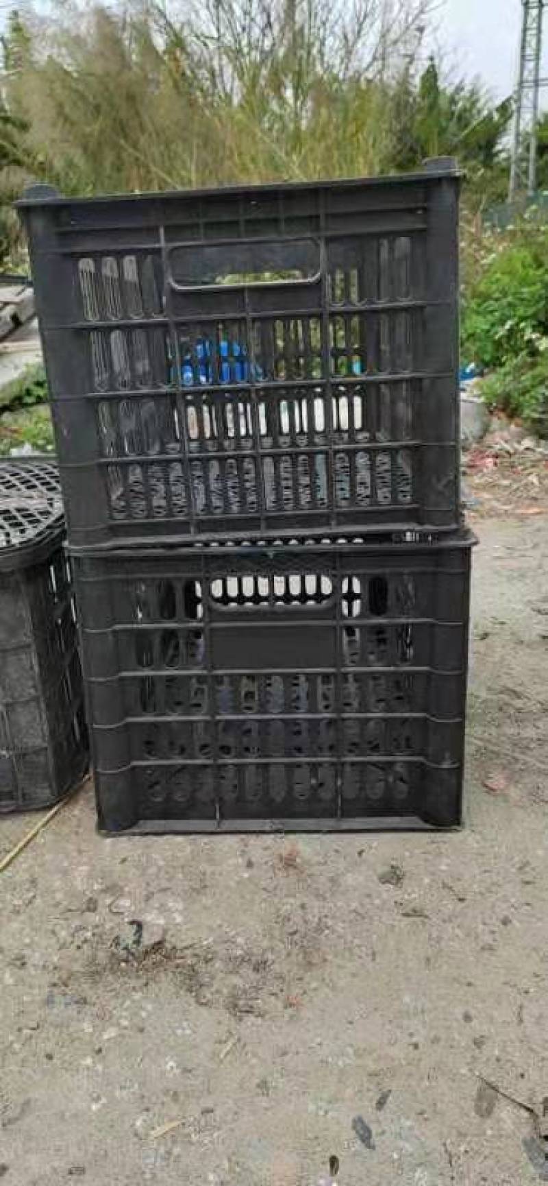 㬵筐