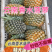 《热卖》云南河口香水菠萝大量上市！一手货源没有差价