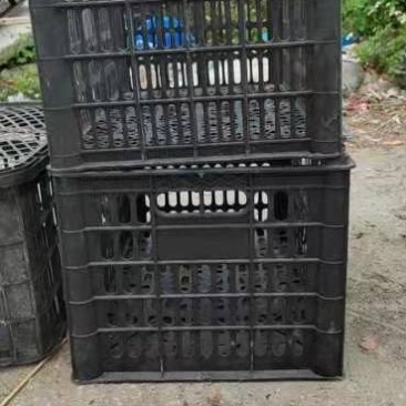 㬵筐