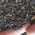 黑木耳伢子货，原干小货高泡发，0.3～0.8小木耳。