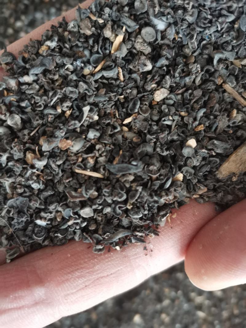 黑木耳伢子货，原干小货高泡发，0.3～0.8小木耳。