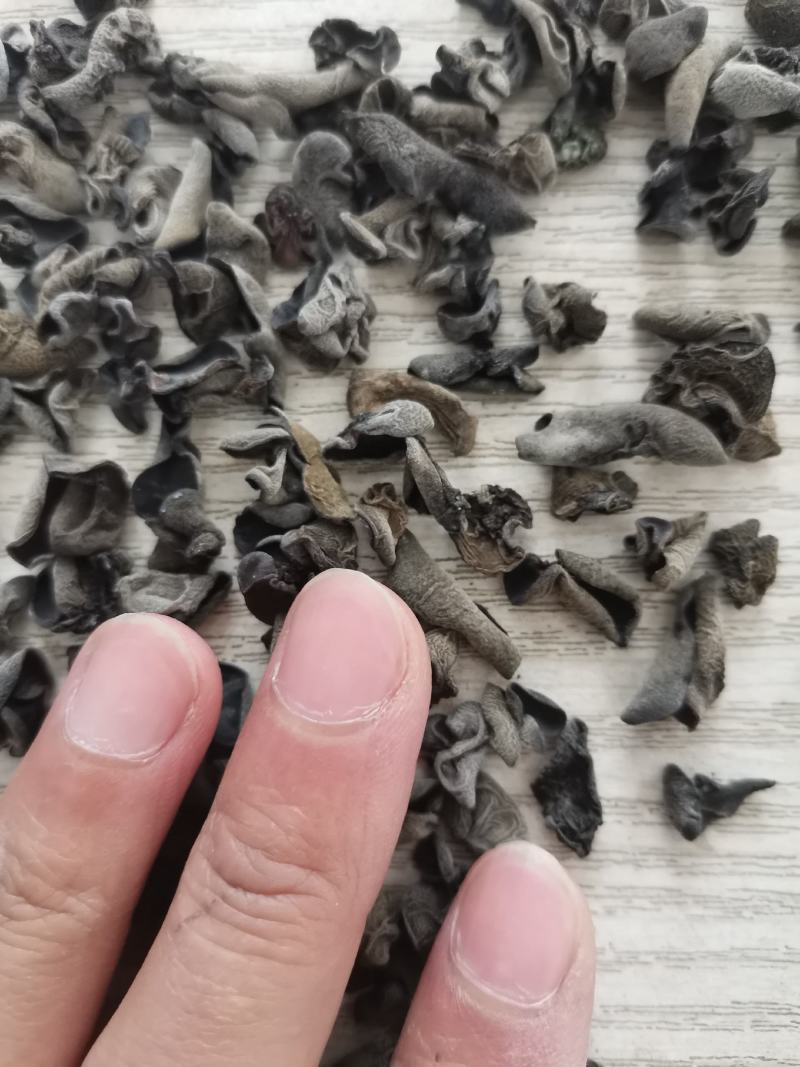 黑木耳伢子货，原干小货高泡发，0.3～0.8小木耳。