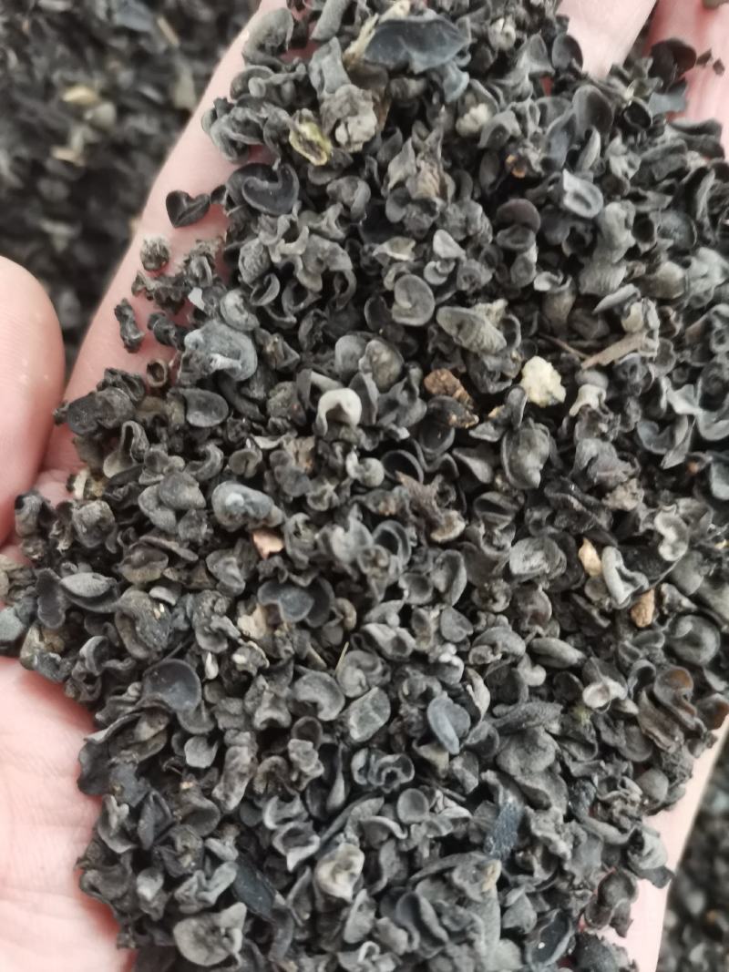 黑木耳伢子货，原干小货高泡发，0.3～0.8小木耳。
