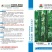新发现黄瓜种子，春夏秋露地，黑油亮顺直，耐热，高产