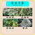 国光20%三唑酮防治白粉病锈病黑斑病黑穗病小麦白粉病