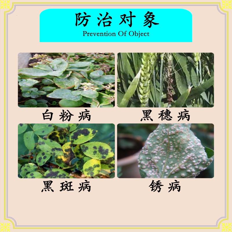 国光20%三唑酮防治白粉病锈病黑斑病黑穗病小麦白粉病