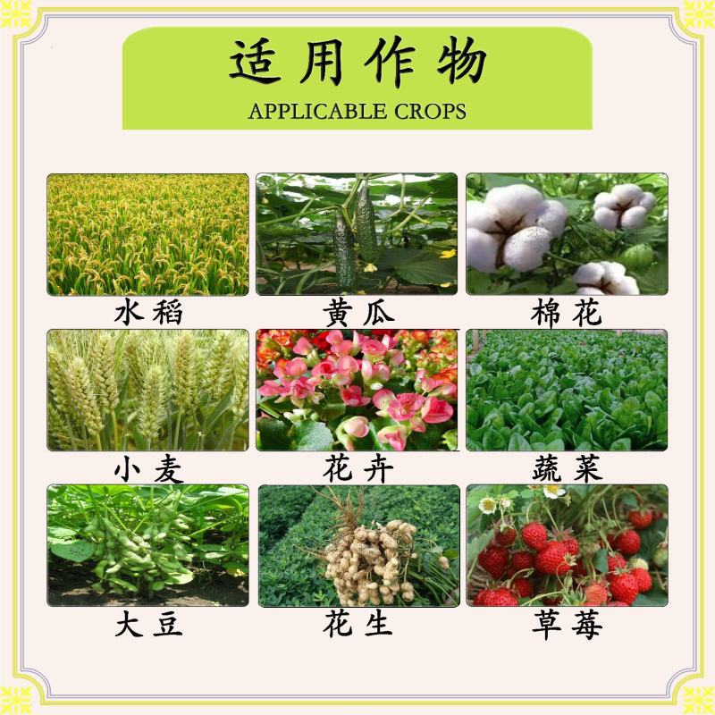 国光30%精甲.恶霉灵青枯病枯萎病茎腐病黄萎病根腐病杀菌