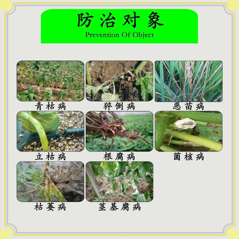 国光30%精甲.恶霉灵青枯病枯萎病茎腐病黄萎病根腐病杀菌