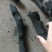烧烤炭果木炭梨木炭木炭烤羊肉串炭无烟炭