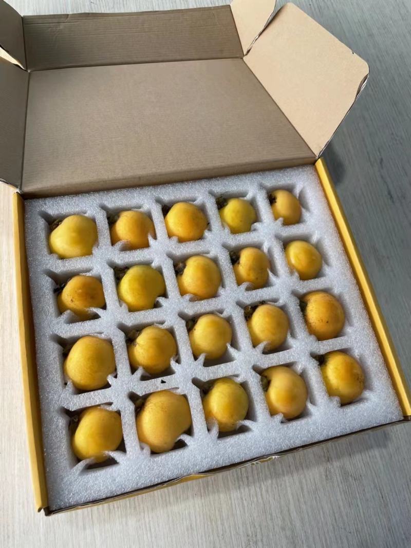 枇杷