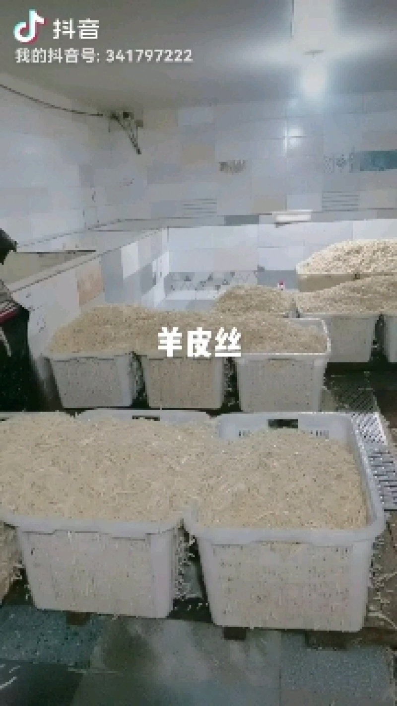 存干羊皮丝没油没毛根保证质量大量生产加工需要的老板下单吧