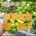【好货】阳光玫瑰葡萄苗夏黑嫁接5bb砧木3309保纯度