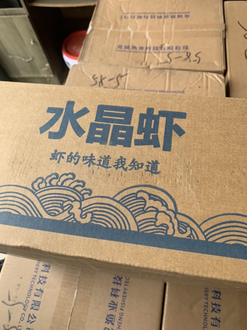 淡干无盐虾皮淡干干度好无盐无杂质