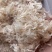 淡干无盐虾皮淡干干度好无盐无杂质