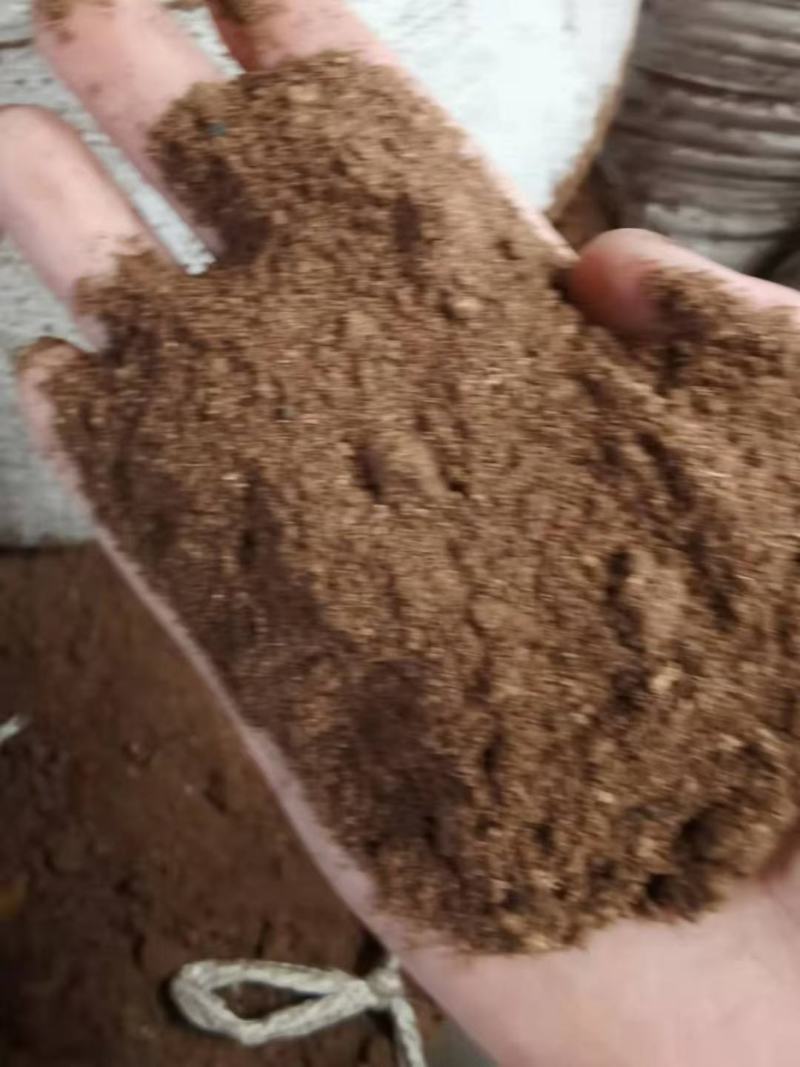 棕榈粕，印度尼西亚进口高纯度饼粕，原包装
