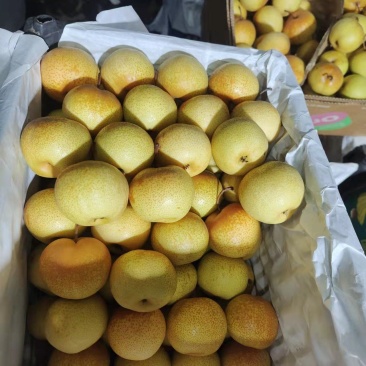 精品辽宁花盖梨，产地直销，货源充足，品质保证，欢迎选购