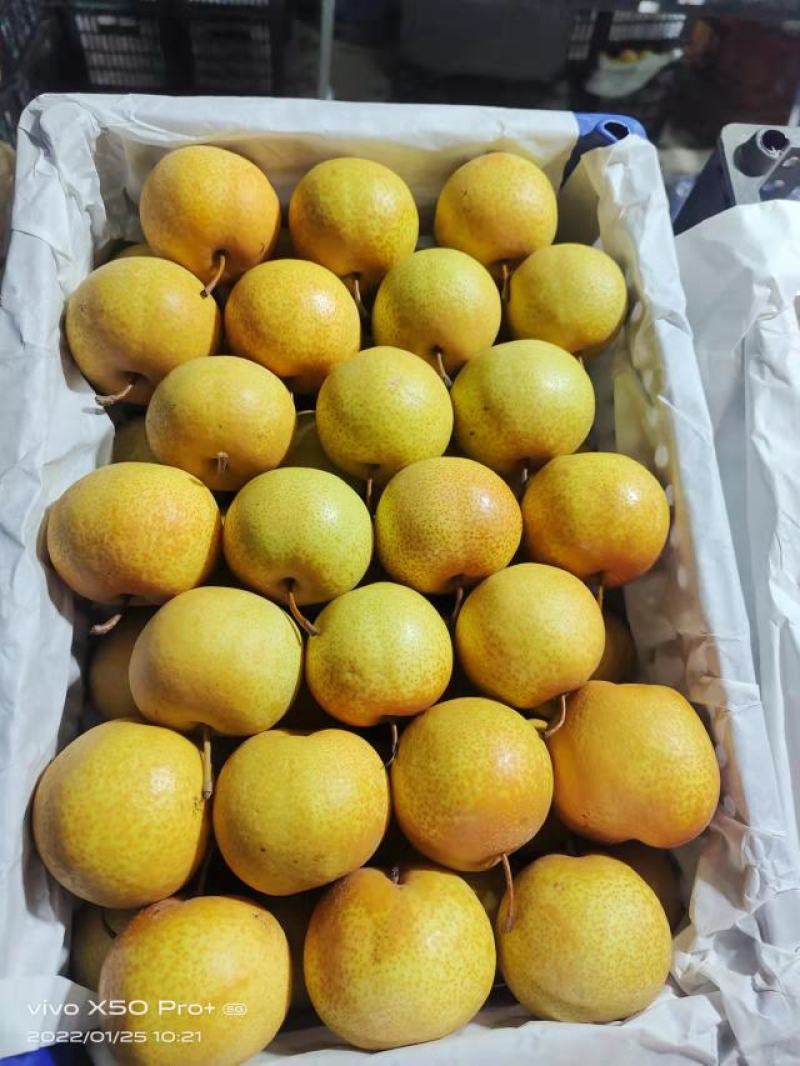 精品辽宁花盖梨，产地直销，货源充足，品质保证，欢迎选购