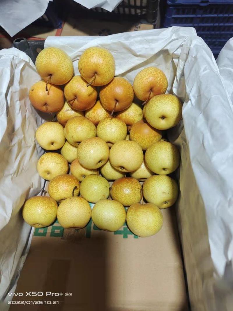 精品辽宁花盖梨，产地直销，货源充足，品质保证，欢迎选购