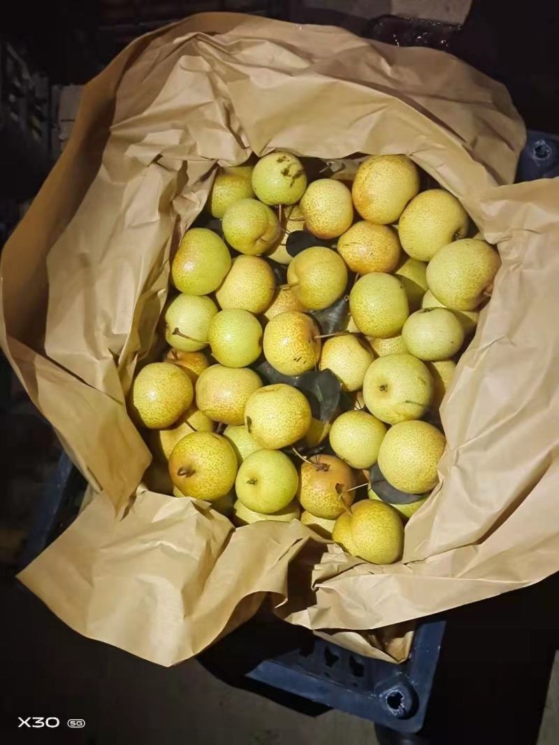 精品辽宁花盖梨，产地直销，货源充足，品质保证，欢迎选购