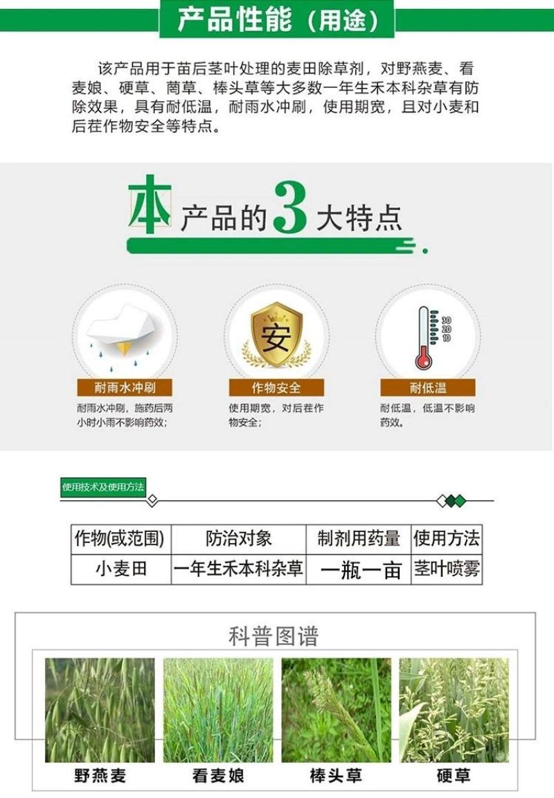 炔草酯小麦田除草剂燕麦看麦娘芒草棒头草蜡烛草