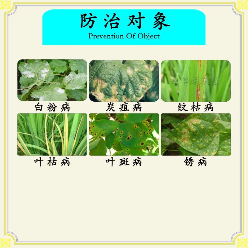 沪联旺润43%戊唑醇纹枯病锈病白粉病叶枯病赤霉病杀菌剂
