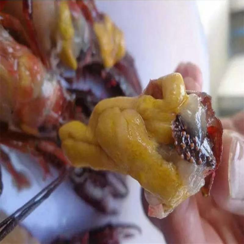 小龙虾，湖北小龙虾，肉质爆满，供应全国各地市场，餐饮店
