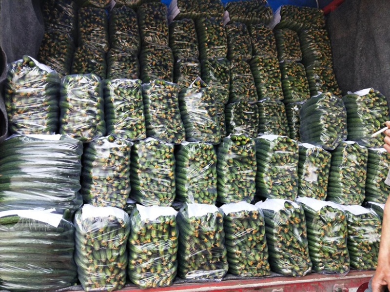 河南黄瓜，密刺黄瓜黑条油量青肉，万亩蔬菜种植基地货源充足